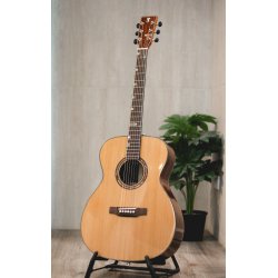 Fonzo V-201C OM Full Body